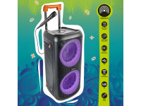 IBIZA Coluna Amplificada 2x10 IBIZA Coluna Amplificada 2x10